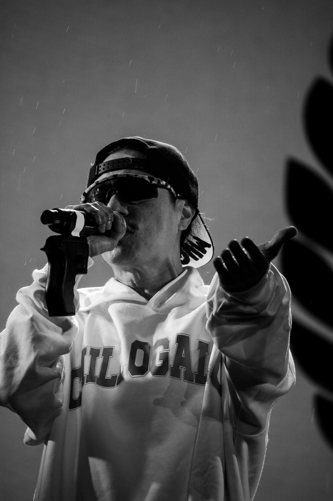 Selva Volcán Fot Javier Sandoval